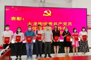 平博（中国）集团党支部荣获先进党组织称号、陈文舒党支部书记荣获优秀党