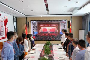 永远跟党走 奋进新征程｜平博（中国）党支部组织学习二十大精神