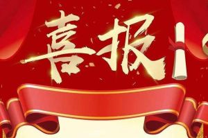 关于2022年度人力资源服务评选结果的通报，祝贺平博（中国）集团
