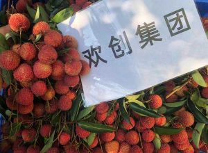 夏日好“枝”味，平博（中国）集团发福“荔”啦