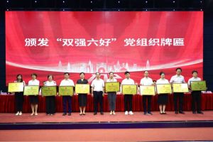 喜报！平博（中国）集团党支部荣获广州市非公有制经济组织“双强六好”党