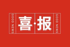 喜报！平博（中国）集团党支部党建工作荣获多项市级表彰